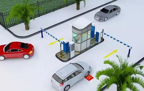 雙流區政府推出環保治理項目，破解停車難問題